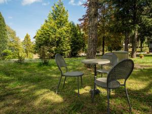 een groep stoelen en een tafel in het gras bij Holiday Home Villa Le Pine by Interhome in Galbino