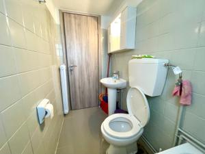 La petite salle de bains est pourvue de toilettes et d'un lavabo. dans l'établissement Luxury Flat in Hilton, 3' from metro, VFM!, à Athènes