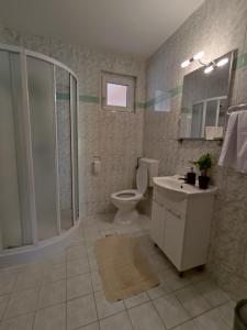a bathroom with a toilet and a shower and a sink at Summer vibe in Vir +41 photos