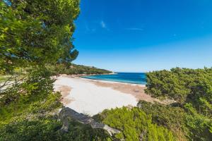 widok na plażę z drzewami i ocean w obiekcie GG Luxury Apartments - Porto Cervo - Costa Smeralda w mieście Porto Cervo