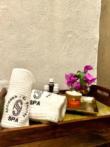 Fotografie z fotogalerie ubytování Hacienda El Salitre Hotel & Spa v destinaci Querétaro