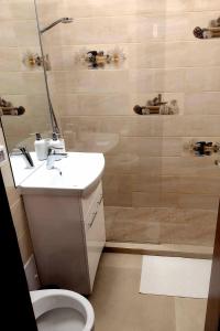 a bathroom with a toilet and a shower and a sink at Delightful Studio Brâncuși in Bucharest