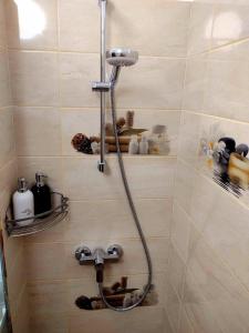 a shower with a hose in a bathroom at Delightful Studio Brâncuși in Bucharest