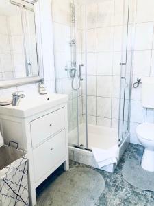 La salle de bains est pourvue d'une douche, d'un lavabo et de toilettes. dans l'établissement LA VIVO - LA Farica, à Vivodina