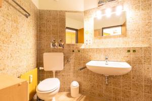 a bathroom with a toilet and a sink at Ferienwohnpark Immenstaad am Bodensee Ein-Zimmer-Apartment 49 41 in Immenstaad am Bodensee