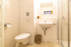 ein Bad mit einem WC, einem Waschbecken und einer Dusche in der Unterkunft Ferienwohnpark Immenstaad am Bodensee Zwei-Zimmer-Apartment 49 45 in Immenstaad am Bodensee