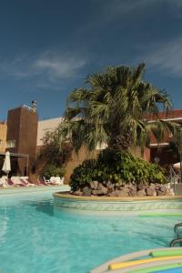 una palmera sentada junto a una piscina en Hotel Termal Rio Hondo en Termas de Río Hondo
