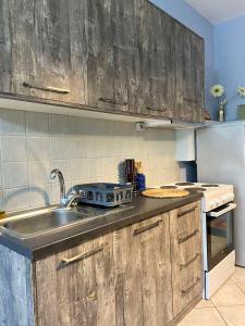 a kitchen with a sink and a stove top oven at Sunny Garden in Plataria