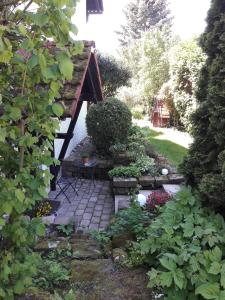 einen Garten mit einer Bank und einigen Pflanzen und Blumen in der Unterkunft Ferienwohnung Bibert in Michelstadt