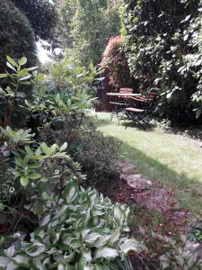 a garden with a bench and some plants and flowers at Ferienwohnung Bibert in Michelstadt