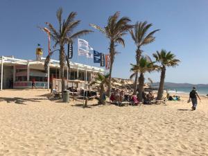 a group of people on a beach with palm trees at Beach front apartment with stunning ocean views! in Costa Calma