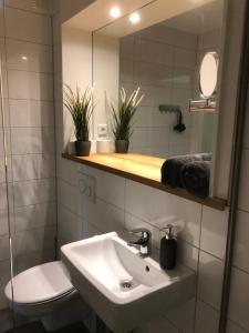 a bathroom with a sink and a toilet and a mirror at Die zwei Löwen Ferienwohnungen in Winterberg