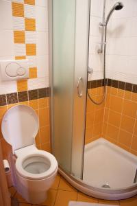 a bathroom with a toilet and a shower at Apartma Sonček, on the ski slopes, balcony, private parking in Kranjska Gora