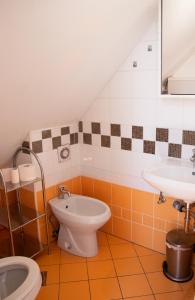 克拉尼斯卡戈拉Apartma Sonček, on the ski slopes, balcony, private parking的带马桶和水槽的浴室