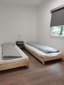 two beds sitting in a room with a window at hé,Tisza! in Tiszafüred