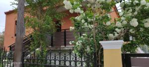 Gallery image of Classic House in Lefkímmi