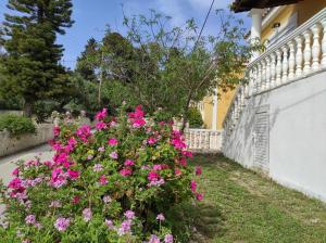 Zahrada ubytování Stranis Hill House Zakinthos