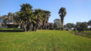 a park with palm trees and a house at Lodge Monte Do Sobral in Alcáçovas +72 photos