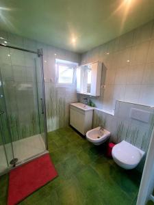 a bathroom with a shower and a sink and a toilet at Apartma DAVID in Zgornje Gorje