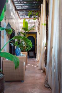 einen Korridor mit Pflanzen und Vorhängen in einem Gebäude in der Unterkunft Riad Ines Home in Marrakesch