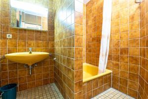 a bathroom with a sink and a mirror at Ferienwohnpark Immenstaad am Bodensee Zwei-Zimmer-Apartment 55 14 in Immenstaad am Bodensee