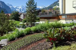 a garden in front of a building with mountains in the background at Hotel Schönegg in Wengen +49 photos