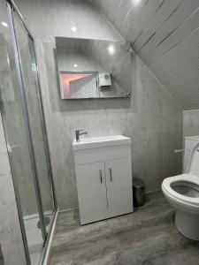 ein Bad mit einem WC, einer Dusche und einem Waschbecken in der Unterkunft The Thistle Guesthouse in Portree