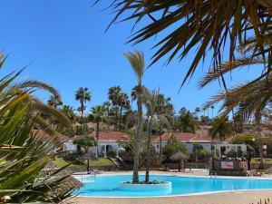 馬斯帕洛馬斯的住宿－Parque Golf 16 by SunHousesCanarias，享有棕榈树度假村游泳池的景色
