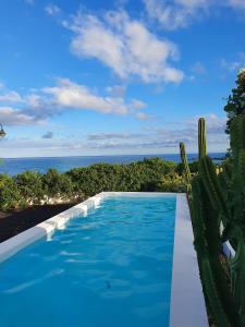 a swimming pool next to a cactus and the ocean at Villa Sama in Punta Mujeres