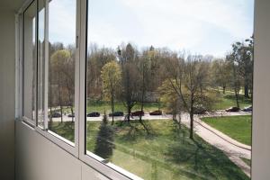 a window with a view of a street and trees at Grey Green Cozy Apartment in Birštonas