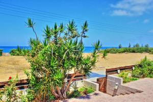 a tree on a beach with the ocean in the background at Villa Majestic in Ayia Marina