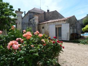 Gallery image of Le Clos Notre Dame B&B in Mareuil