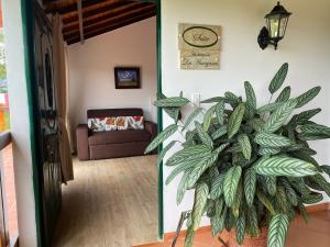 a living room with a couch and a plant at El Portal De Don Luis in Guadalupe