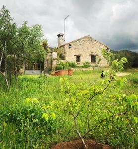 an old stone house in the middle of a field at La casita del hortelano in Robledo de Chavela