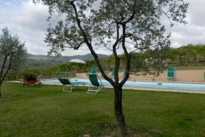 a pool with chairs and a tree in the grass at room in farmhouse near san gimignano in San Gimignano