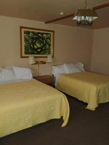 Postel nebo postele na pokoji v ubytování Cactus Inn