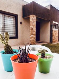 Κήπος έξω από το Casa "La Margarita" - Villa 25 de Mayo, San Rafael