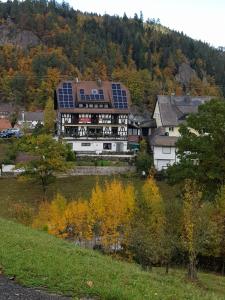 una casa con paneles solares encima en Gasthaus Mühlenstube, en Lauterbach