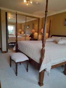 1 dormitorio con 2 camas y un espejo grande en Cloghan Lodge, en Castleisland