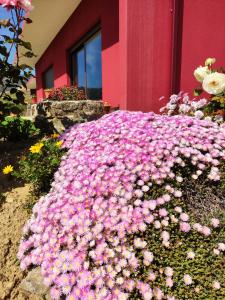 Zahrada ubytování Quinta dos Padrinhos - Suites in the Heart of the Douro
