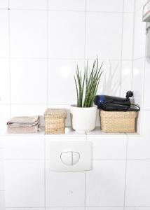 a white kitchen with a plant on a shelf at Koje Vier I mit Parkplatz, zentral und gemütlich in Bremerhaven