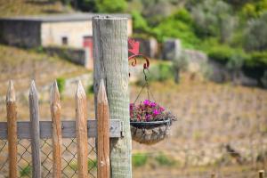 Zahrada ubytování Quinta dos Padrinhos - Suites in the Heart of the Douro
