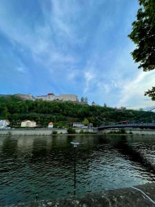 a view of a river with a train on a bridge at Apartment threeRivers in Passau