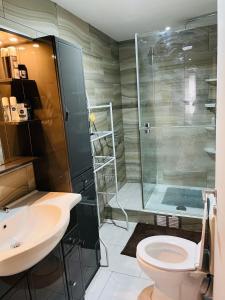 a bathroom with a shower and a toilet and a sink at Bien-être-Au-calme et parking gratuit in Seraing