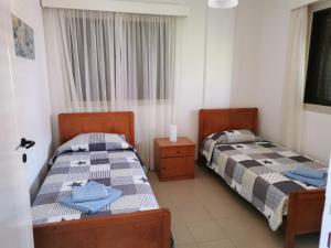 two twin beds in a room with a window at Seaclusion Vacation Villa in Pomos +49 photos