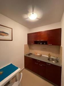 a small kitchen with a sink and wooden cabinets at Apartments Krapina Lux in Budva