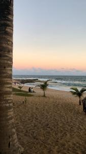 a beach with a palm tree and the ocean at B&B JPA Casa ANSELMO in Salvador