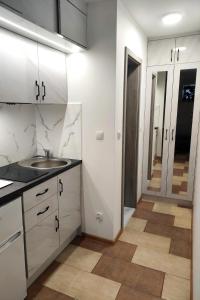 Kuchyňa alebo kuchynka v ubytovaní Apartament u PROROKA