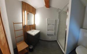 a small bathroom with a sink and a shower at La maison du lac in Doussard +25 photos