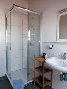 bagno con doccia e lavandino di Ferienwohnung Magnolie in Langenargen a Langenargen